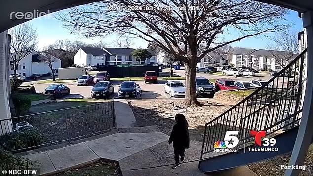 Her terrified six-year-old daughter screamed and fled and her nine-year-old son jumped on top of a car to avoid the dog as she tried to fend it off with her son's backpack.