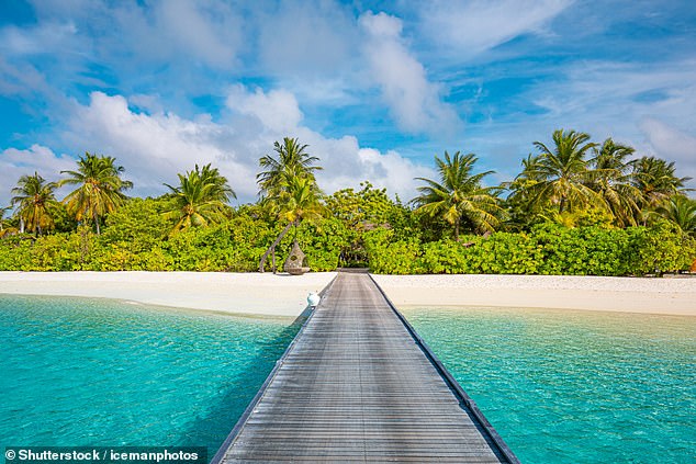 At the idyllic location they are joined by a camera crew and producers who hope that the cast will pop each other's cherries in front of the lens