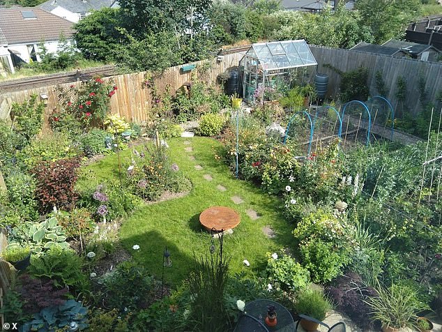 Mr Bannister said the previous owner's garden (pictured) was 'stunning' and said she must have been an 'expert gardener'.