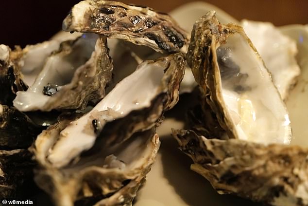 Elmira praised the oysters (pictured), but thought they were an underwhelming first date meal idea