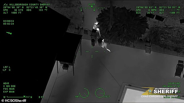 In the black and white footage, the dodging kangaroo can be seen jumping across the apartment complex's pool deck