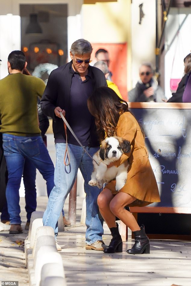 Civil rights attorney Amal seemed to have instantly fallen in love with the fluffy bundle of joy as she carried it in her arms