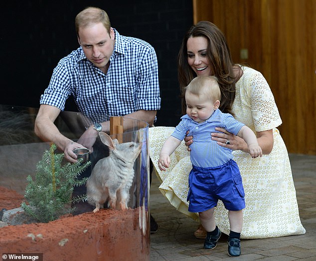 Prince George, then just nine months old, visits a Bilby at the zoo.  Bilbies are desert-dwelling marsupials native to Australia