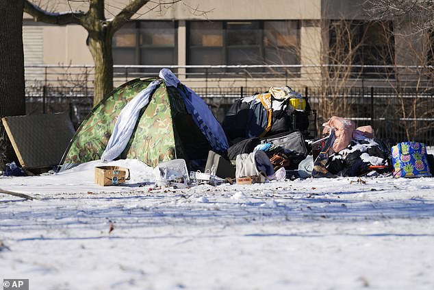 A tent for the homeless can be seen across the street from Montrose Beach in Chicago