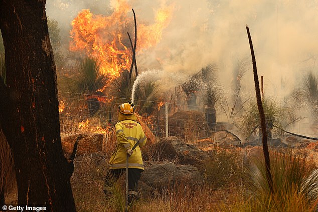 Bushfires raged in parts of western Victoria, forcing many people to flee their homes (stock image)