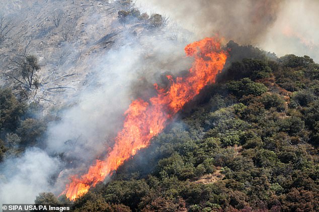 The photo shows the wildfire moving along the hills of the San Bernardino National Forest