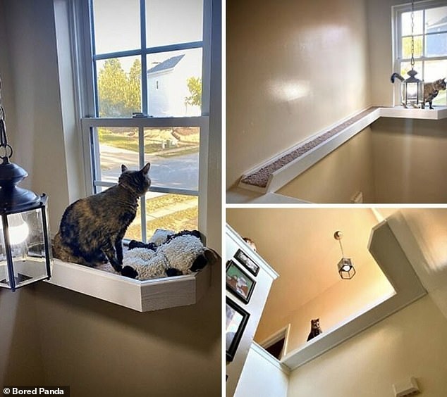 This house was designed without access to the upper windows, so the family built a shelf where their cat could see outside