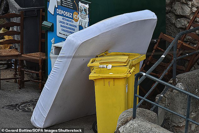 The inserts hide in mattress fabric and crevices before emerging at night to bite their sleeping victims.  The insects can also hide in clothing, furniture and even books