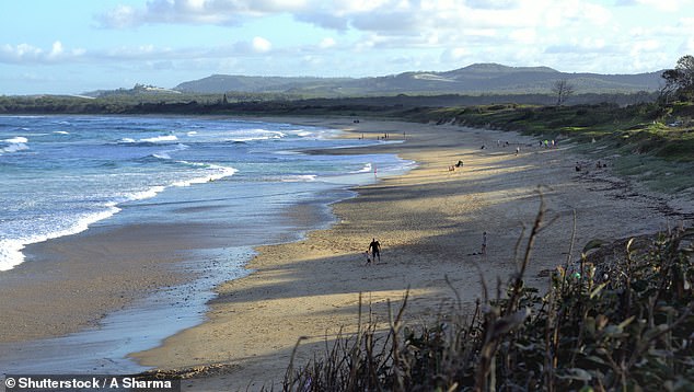 Corindi Beach received an unwanted visitor on Tuesday when a shark was sighted.  Experts warn that many sharks swim in the shallow waters on beaches and advise beachgoers not to be isolated from other people while swimming