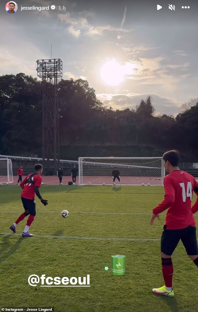 In one clip, a ball was fired towards Lingard and he touched the edge of the penalty area