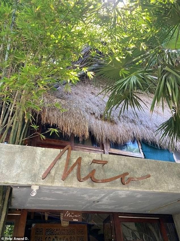 Three witnesses online said the shooting took place at the Mia Beach Club in Tulum.  Officials did not name the location