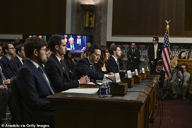 TikTok CEO Shou Zi Chew faced a barrage of questions about tech companies' failure to protect young social media users during a January hearing of the U.S. Senate Judiciary Committee on Big Tech and the online sexual assault crisis exploitation of children