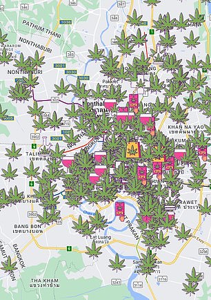 Above you see cannabis shops in Bangkok, Thailand