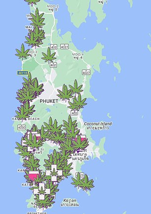 Above you see cannabis shops in Phuket, Thailand