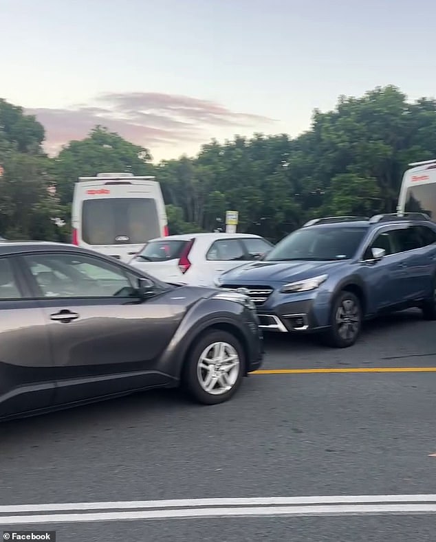 Parking spaces in the public car park quickly filled up (pictured), forcing dozens of tourists to leave their cars on the main road to Cape Byron Lighthouse