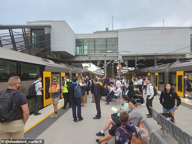 Trains affected on the Western Line, the Northern Line, the Inner West & Leppington Line, the Blue Mountains Line and the Central Coast & Newcastle Line