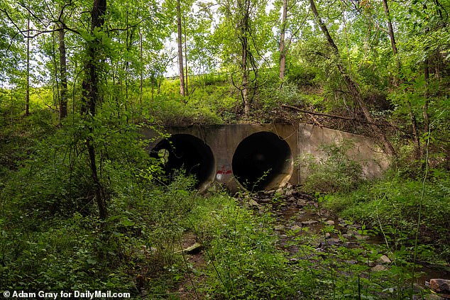 The body of the 37-year-old mother of five was discovered naked on the popular trail and smashed into a tunnel along the route