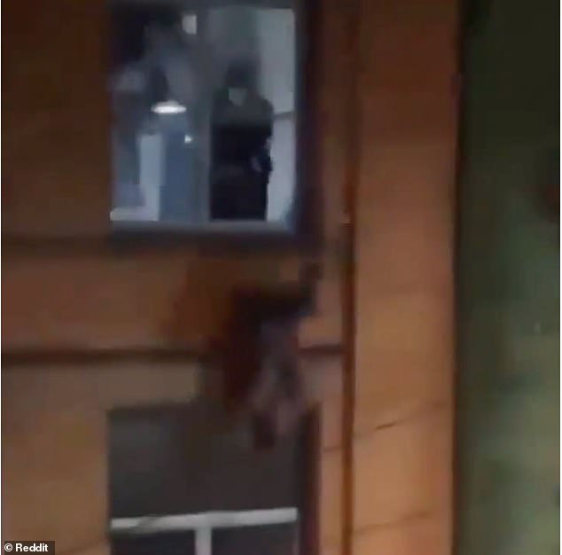 As he approaches a window, we see Geisel jump headfirst through the window, spin twice in the air, and fall to the sidewalk, right next to a police car.