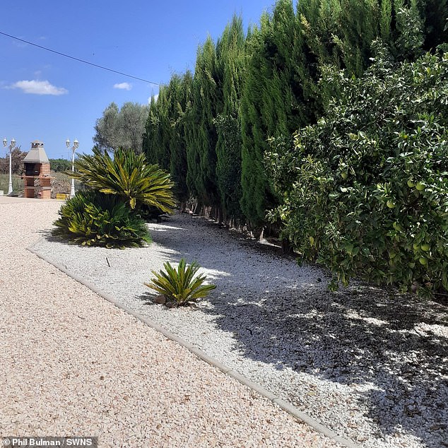 Phil and Anne Bulman's garden in Almoradi