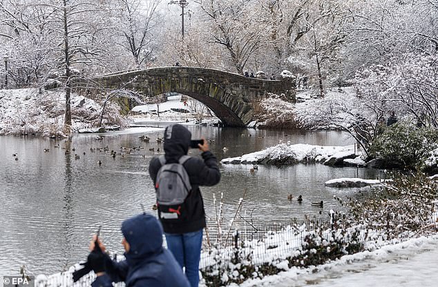 People take photos in Central Park after heavy snowfall in New York City.  Central Park had collected 3 inches of snow as of 1 p.m. Tuesday, the most in two years