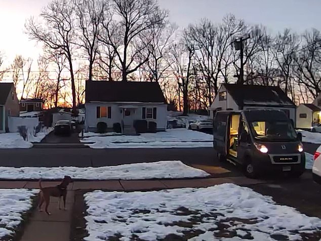 The dog, Nala, chased the delivery person down the street through the cold snow, sending him screaming, but her owner claims she's just 'friendly'