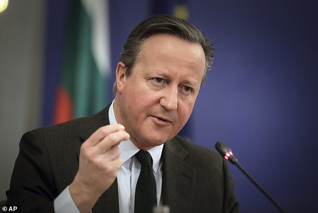 Lord Cameron speaks at a press conference at the Council of Ministers headquarters in Sofia, Bulgaria, on Wednesday