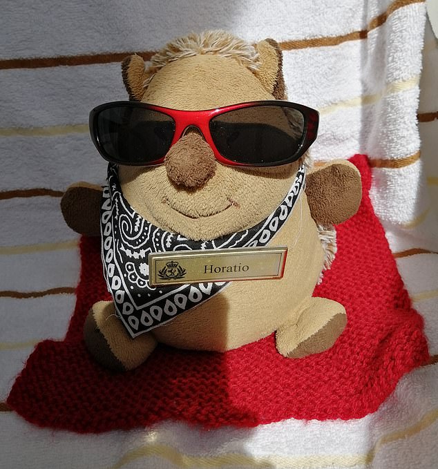 The avid cruisers have a social media account documenting their travels with their toy hedgehog Horatio