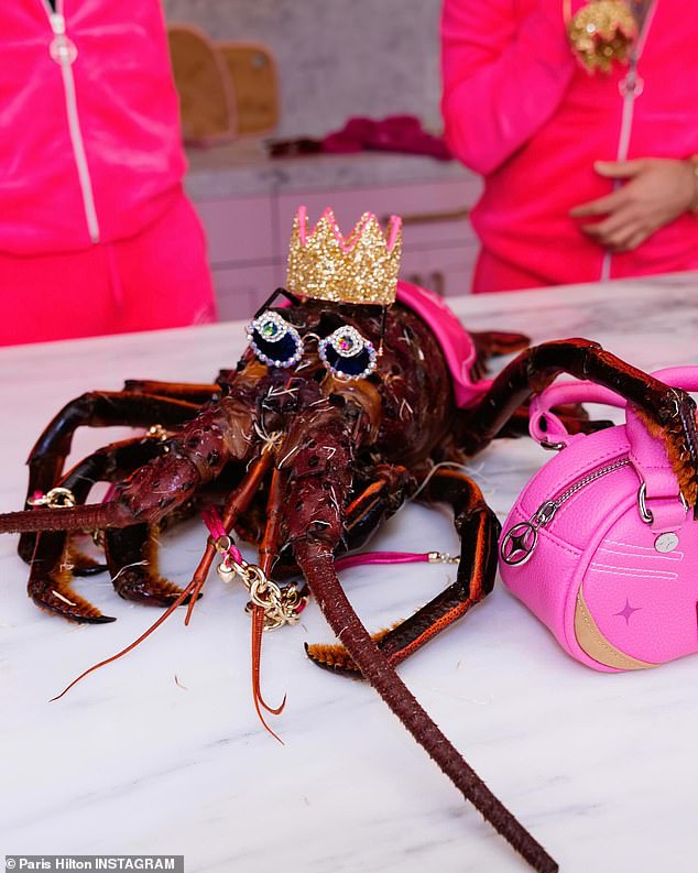 Blanco, 35, and Hilton, 42, teamed up for a video to tie in his new cookbook and her kitchenware line — but the ill-advised decision to use a live lobster as a prop in the video was lambasted by fans