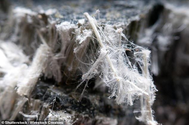 Mesothelioma is a form of cancer that arises in the mucous membrane that covers the surface of some organs of the body, mainly the lining of the lungs.  Usually there is exposure to asbestos.  In the photo: asbestos chrysotile fibers