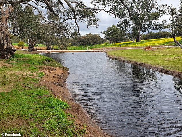 The plaintiff's statement of facts alleges that the Waugul rainbow snake lives in the creek and that any work on it could cause the creature to leave and the water to dry up.