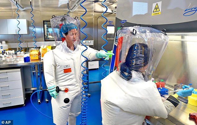 Shi Zhengli – dubbed the 'Bat Lady' or 'Bat Woman' for her work on bat coronaviruses – is pictured in a laboratory at the Wuhan Institute of Virology.  She tracked down dozens of deadly Covid-like viruses in bat caves and studied them at the WIV