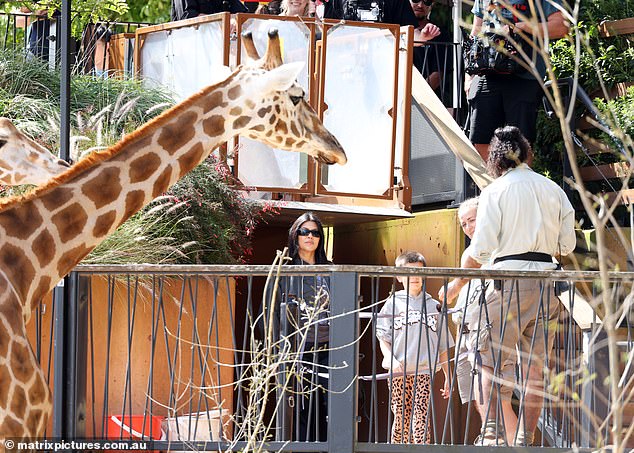 The mother-son duo appeared to have long carrots to offer the giraffe as a treat, and he was seen craning his neck to nibble on Reign's vegetable.