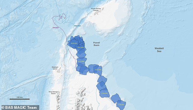 Scientists revealed in November that the mountain is moving again.  This map shows the mountain's position marked in blue as of August (bottom) and in recent weeks (top)