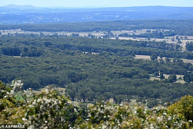 The rugged terrain where police and community members searched for Samantha Murphy