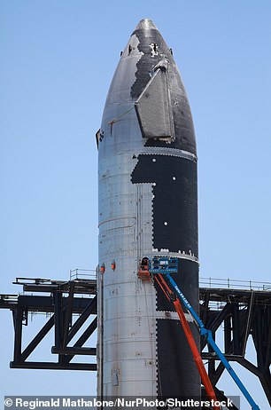 Injuries at SpaceX were six times higher than the space industry average, Reuters journalists found.  Above: SpaceX's Starship 24 rocket near Brownsville, Texas, on May 31, 2022