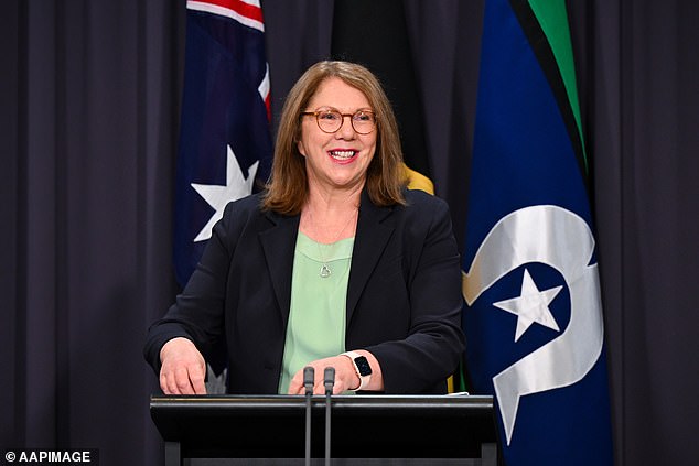 Infrastructure Minister Catherine King stressed that neither the price nor availability of combustion vehicles would be affected by the new plan, but experts still disagree