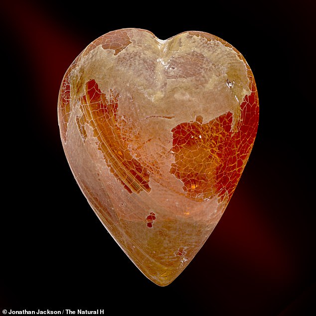 Also in the collection are various images of heart-shaped pieces of amber.  Above: A piece of tree resin known as copal, which has only formed within the past few million years and originates from southern Africa