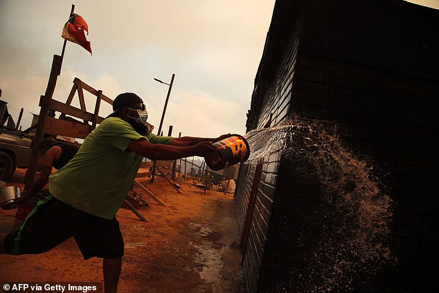 CHILE: Forest fires rage this month as locals in the municipality of Quilpe, Valparaiso region, do their best to repair the damage