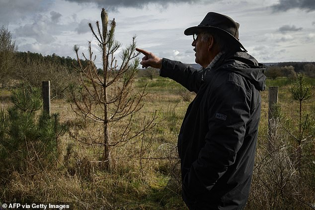 FRANCE: Here, higher temperatures are said to mean that a stinging insect, the pine processionary caterpillar, which is harmful to human and animal health, is now infesting almost all of mainland France.