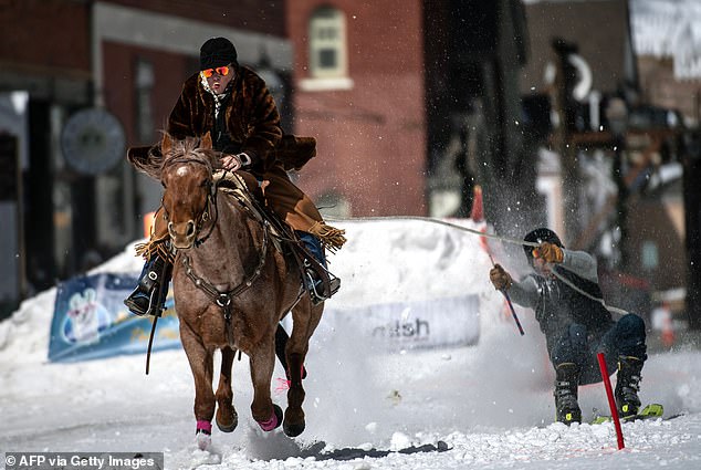 A rider races down Harrison Avenue pulling a skier during the 75th annual Leadville Ski Joring weekend competition on March 5, 2023 in Leadville, Colorado