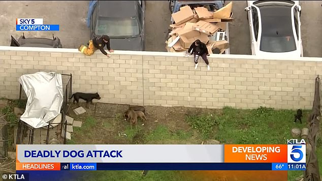 A woman who somehow entered the backyard was helped to climb over the wall by firefighters