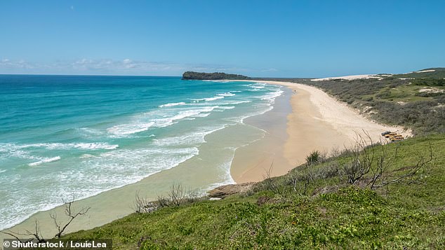 K'Gari is popular with tourists and campers, but visitors have been warned to remain vigilant as we enter dingo breeding season