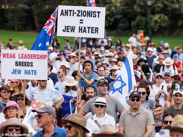 Protesters waved flags and signs during the rally