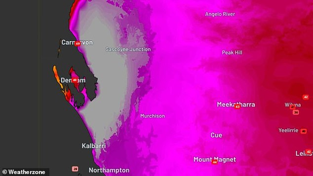 Parts of WA were the hottest place on Earth this weekend (pictured) with temperatures reaching almost 50 degrees Celsius