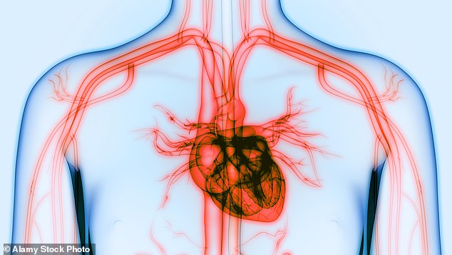 Personality traits such as anxiety and irritability have been linked to early signs of heart aging, according to a study