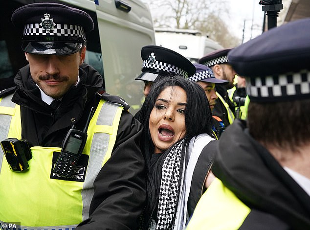 The woman was arrested after allegedly waving a banner in support of a banned organization