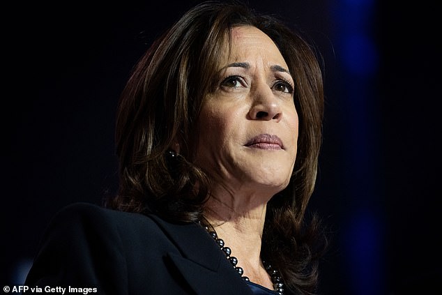 Vice President Kamala Harris speaks at a campaign rally