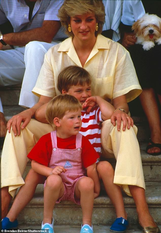 Pictured: Prince Harry, Prince William and their mother Princess Diana, pictured in Mallorca, Spain in 1987