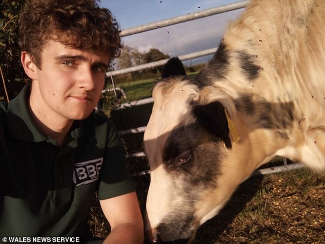 Michael (pictured, left) appeared in shock when he discovered the massacre and at the end of the clip he simply said: 'I love cows'