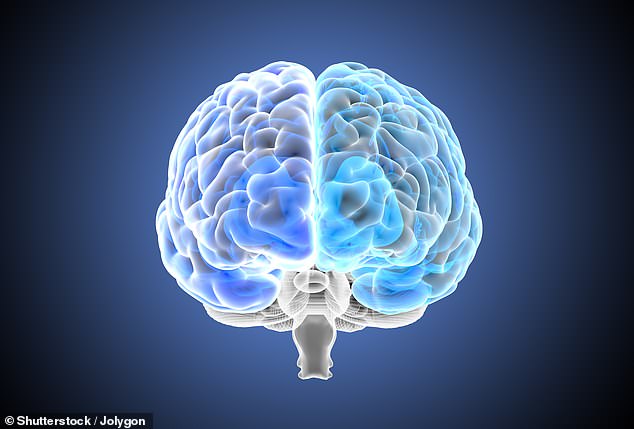 The main differences the AI ​​model identified were in the default mode network, the striatum and the limbic network